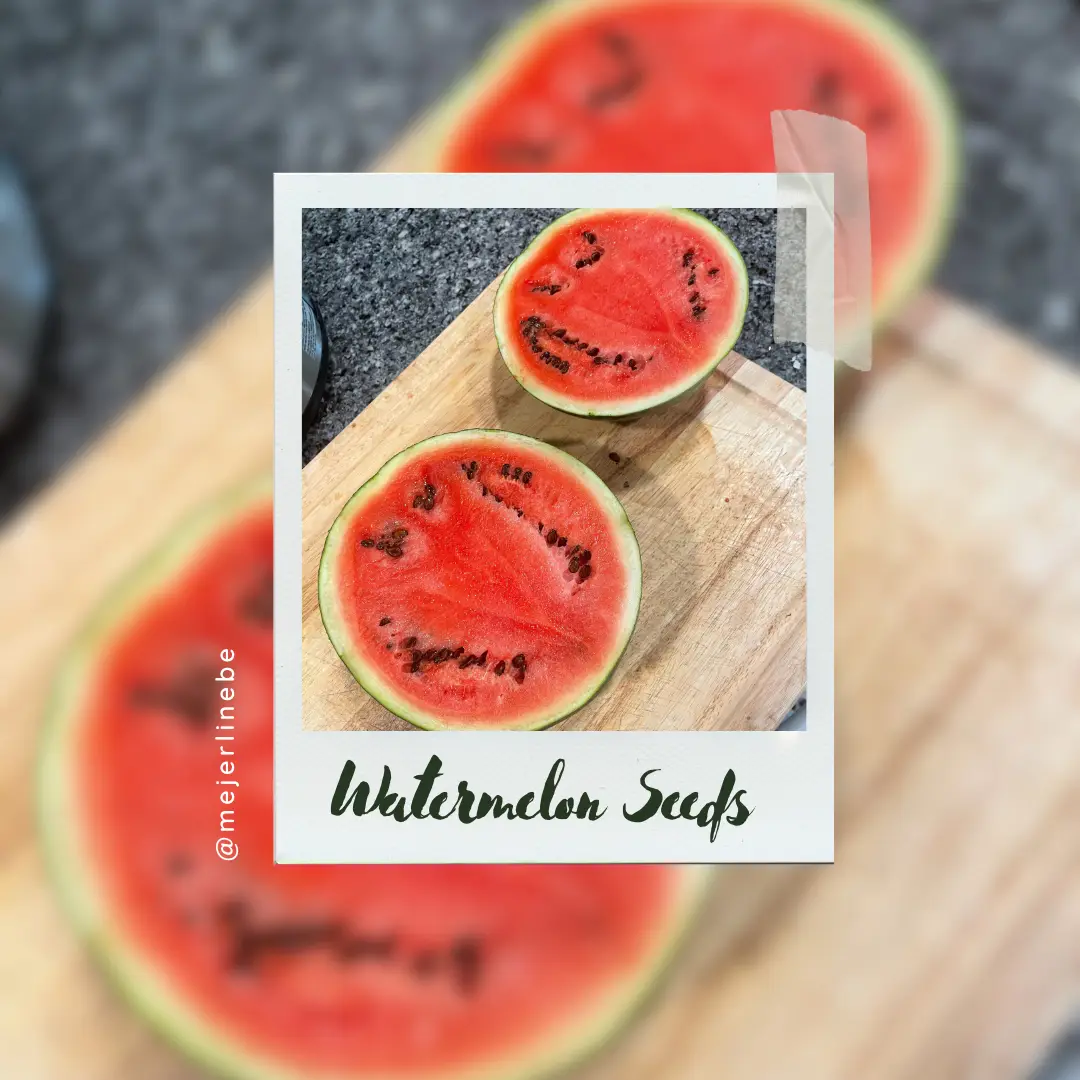 Watermelon split open displaying Seeds