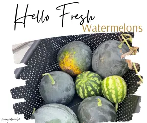 picture of a basket of variety of watermelons